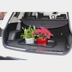 Quest King Of All Trays -Wildo Shop go 331305 d